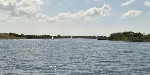 295a964e-9cf6-4b81-8552-a6aefb6ad679.JPG